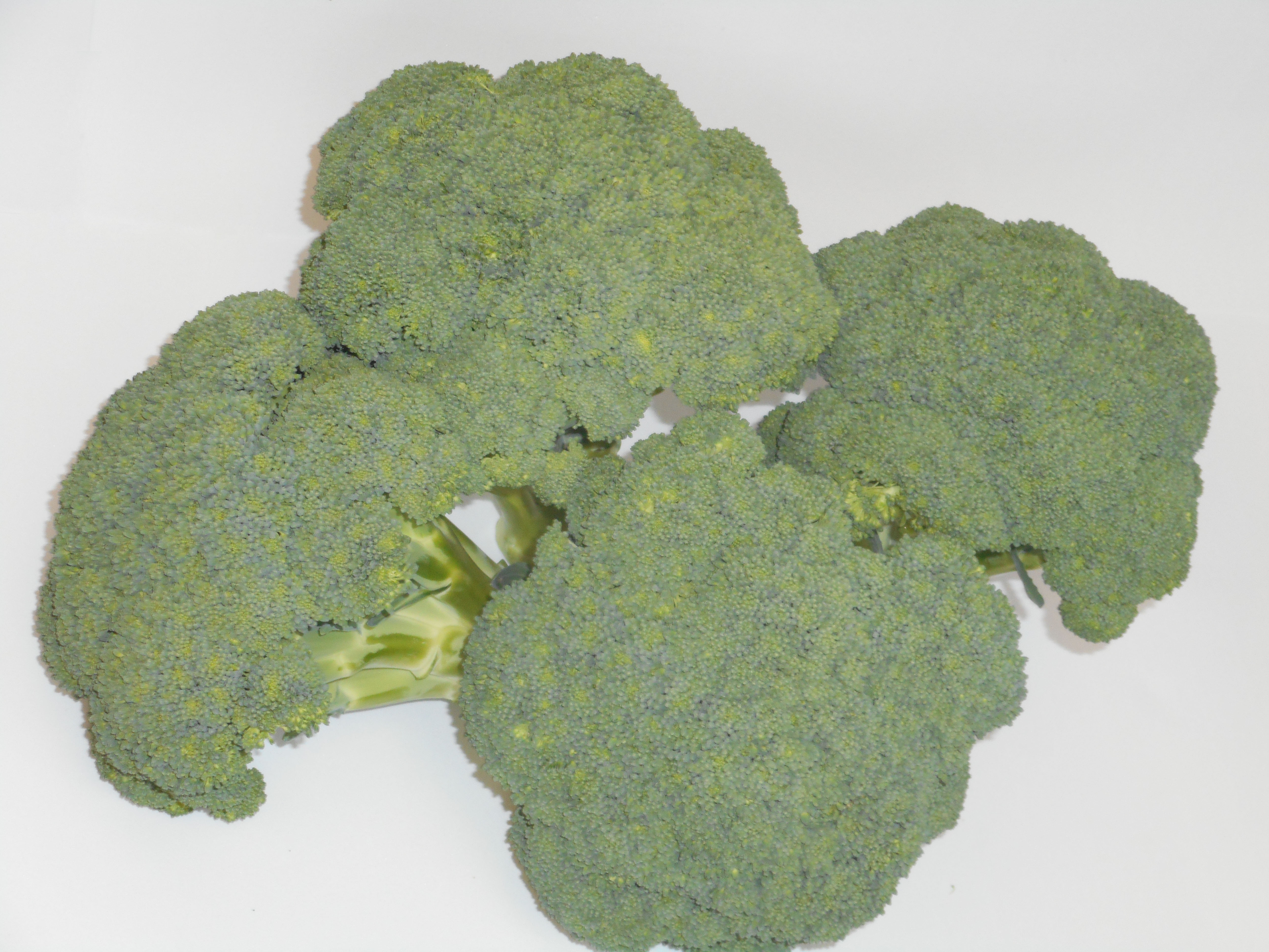 Brócoli 110