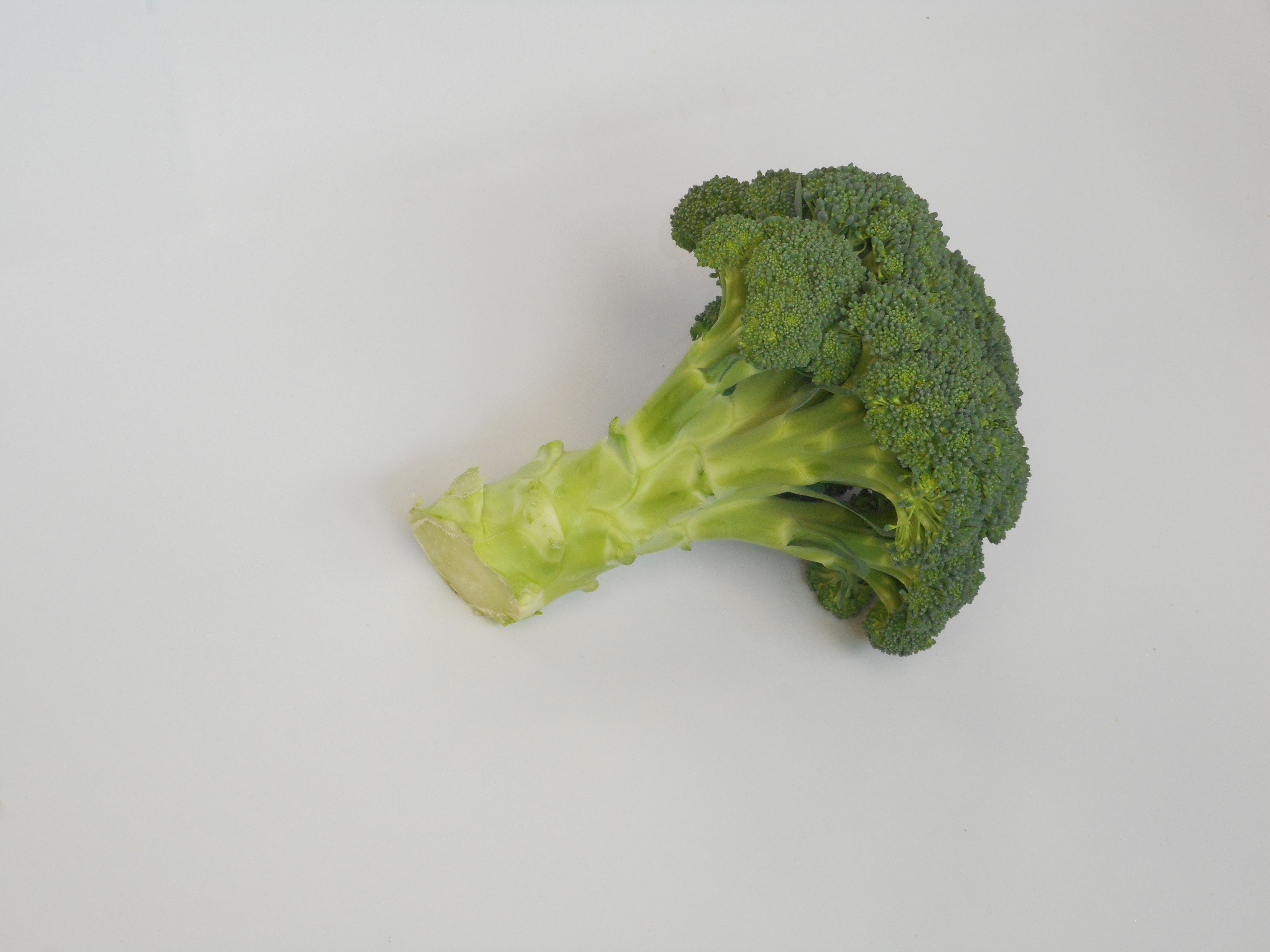 Brócoli 3