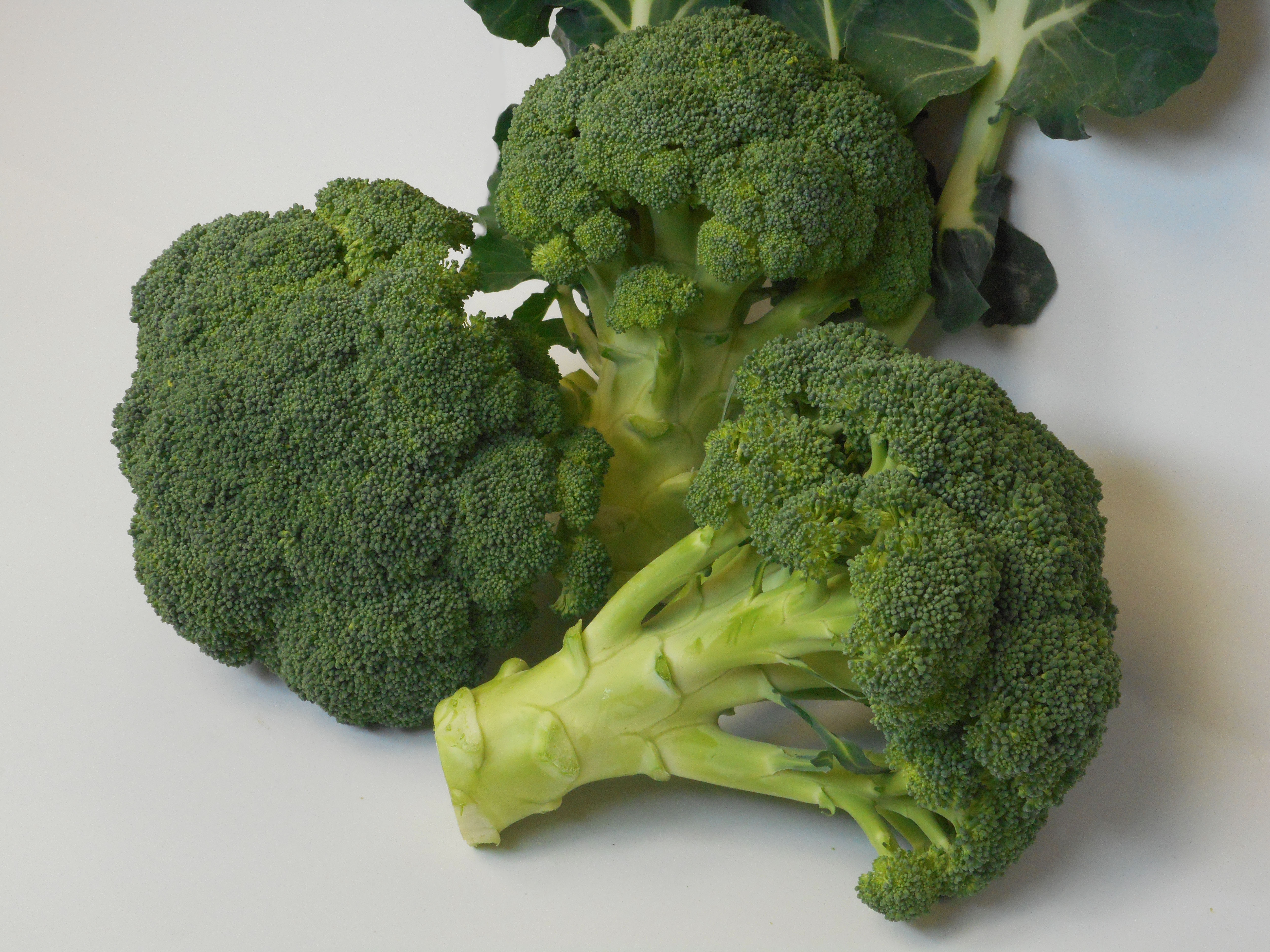Brócoli espigado se puede comer
